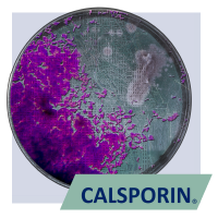 CALSPORIN<sup>®</sup>