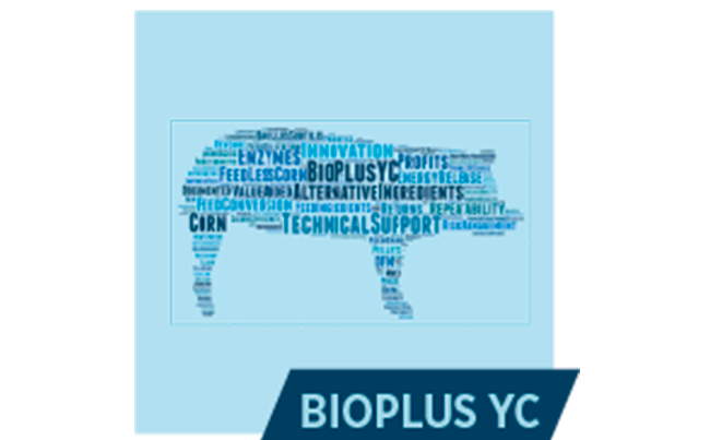 BIOPLUS<sup>®</sup>YC