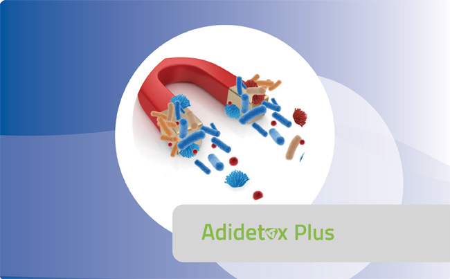 Adidetox Plus
