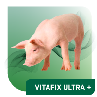 VITAFIX Ultra+