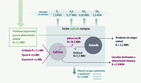 flujo del Nitrógeno