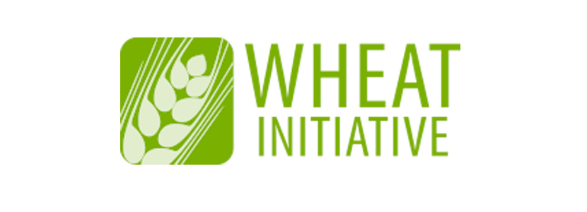 ¿ Conoces la plataforma sobre el trigo <i>wheatinitiative.org</i> ?