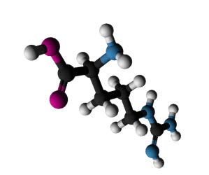 L-arginine 