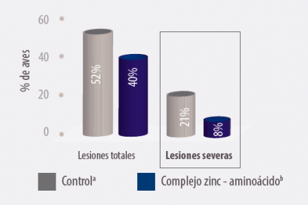 lesiones en aves según fuente d e zinc - zinpro