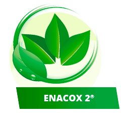 ENACOX2<sup>®</sup>
