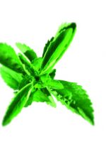 stevia