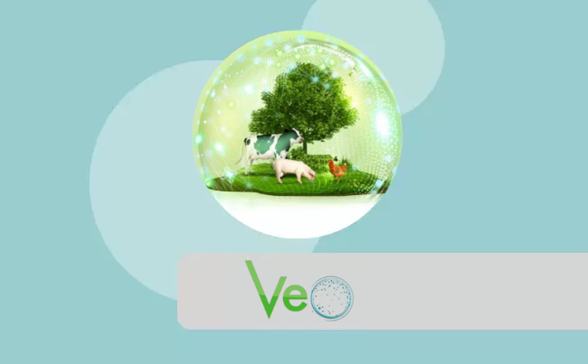 VeO