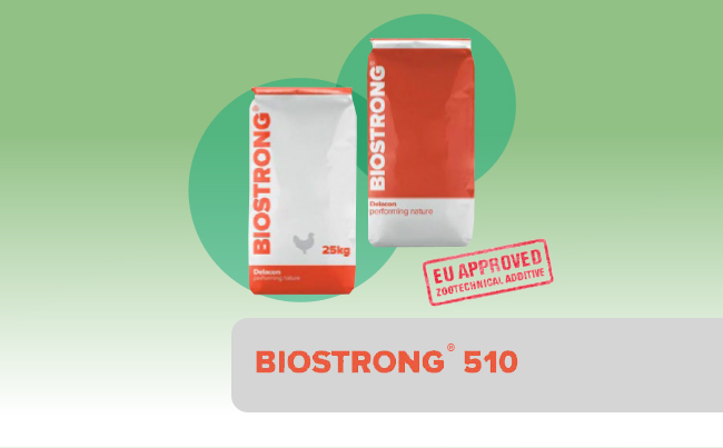 Biostrong<sup>®</sup>510
