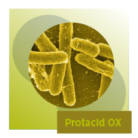 PROTACID OX