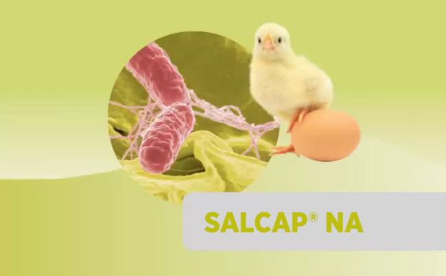 SALCAP® NA