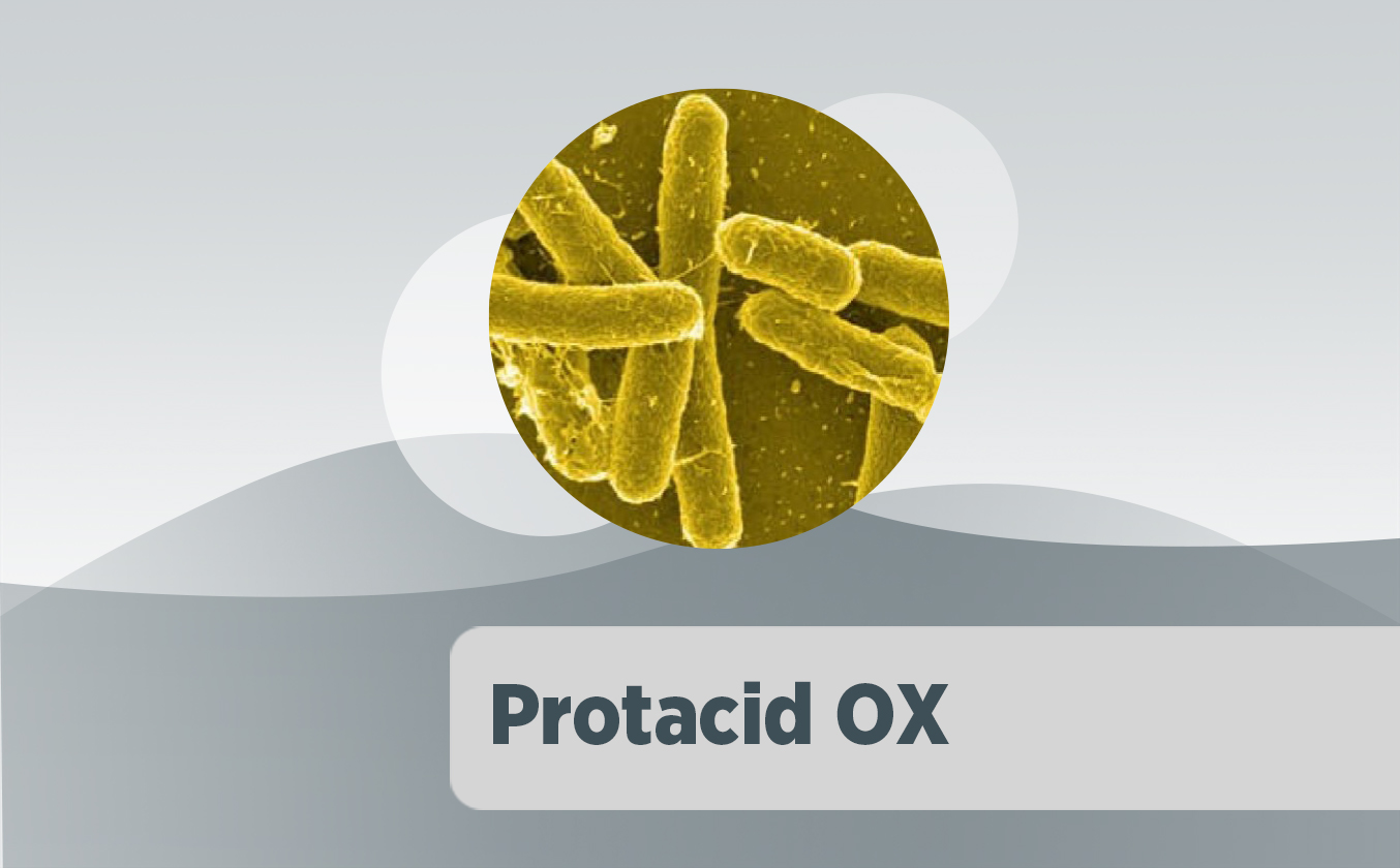 PROTACID OX