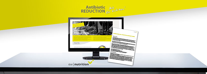 Reducción de antibióticos – EW Nutrition lanza un nuevo sitio web