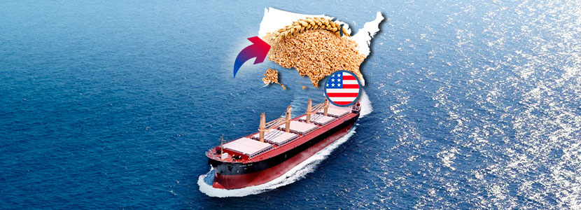 ¿Cómo exportar alimentos para animales a EEUU? 