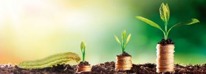 Valoración de materias primas tradicionales y alternativas