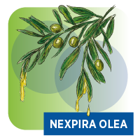 Nexpira Olea