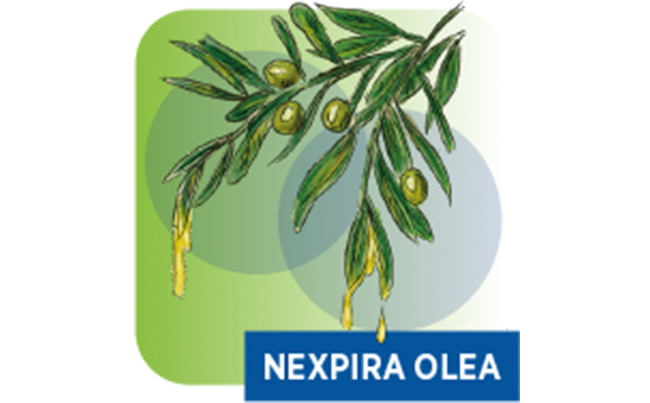 Nexpira Olea
