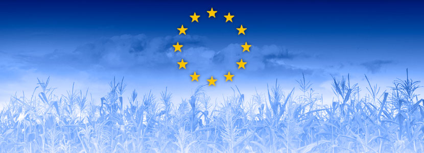 Recuperación de la producción de cereales en la UE