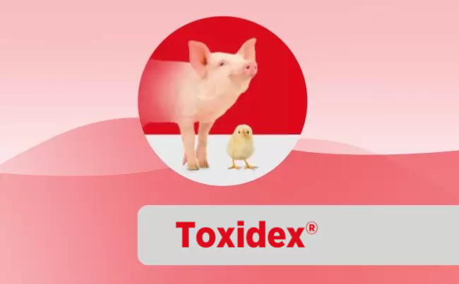 Toxidex®