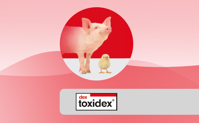 toxidex<sup>®</sup>