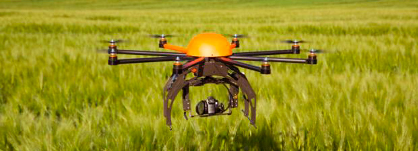 Agricultura de precisión: imágenes aéreas térmicas y multiespectrales