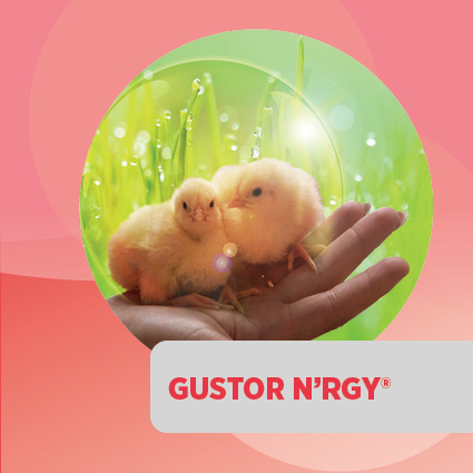GUSTOR N’RGY<sup>®</sup>