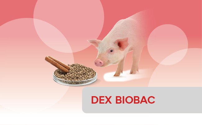 Biobac<sup>®