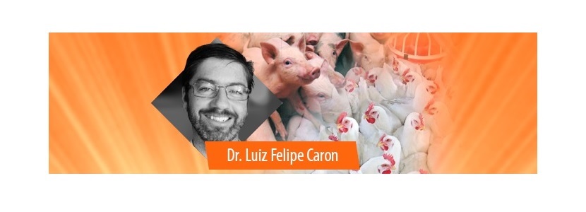 Dr. Luiz Felipe Caron: Nutrición e inmunología en el LPN Congress 2018