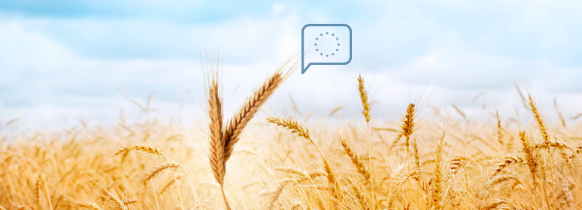 Materias primas, menos producción de cereales en la UE