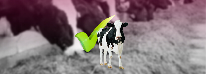 Eficiencia alimenticia: Ingesta residual en vacas lecheras