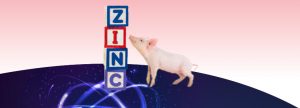 El micromineral macroimportante en producción animal