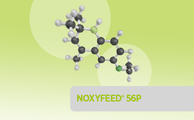 Noxyfeed 56 P