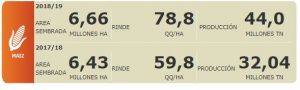Argentina prevé aumento de 37% de la producción de maíz para 2018/2019