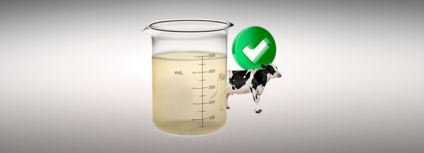 Beneficios de suplementación dietética: Lactosuero en vacas lecheras