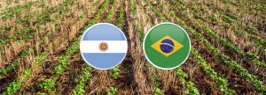 Producción de soja de Brasil y Argentina: Marcaría récord histórico
