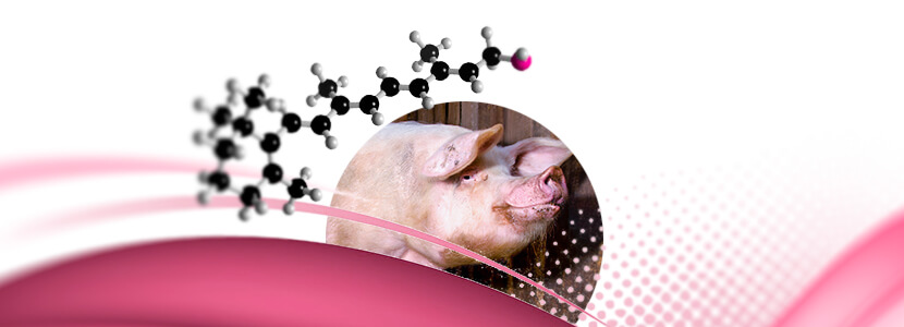 Suplementación de vitamina A: Efecto en machos reproductores porcinos