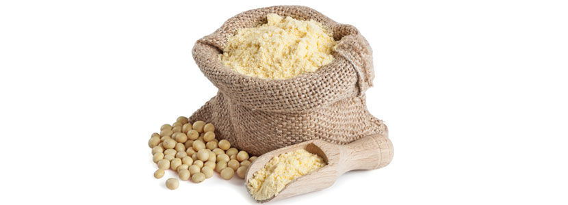 Calidad de las proteínas y aminoácidos de la soja