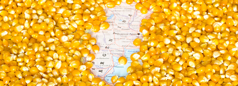 Corn exports in Argentina are expected to suffer serious reductions