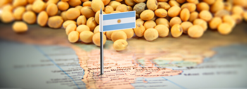Continúa la cosecha de soja en Argentina, mientras su cotización baja