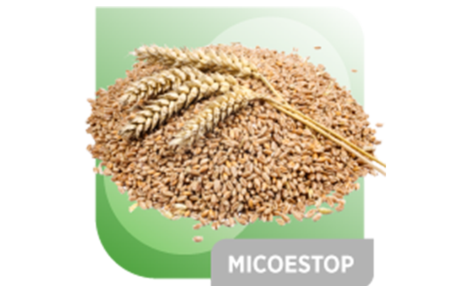 MICOESTOP<sup>®</sup>