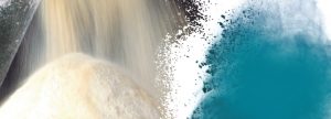 ¿Cómo la molienda de cereales afecta eficiencia & salud en cerdos?