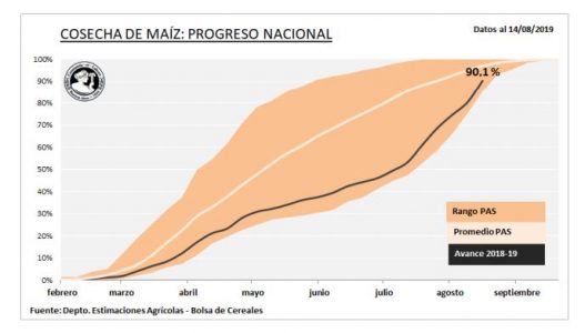La recolección de maíz continua a buen ritmo en Argentina