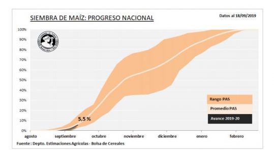 Siembra de maíz avanza a buen ritmo en Argentina