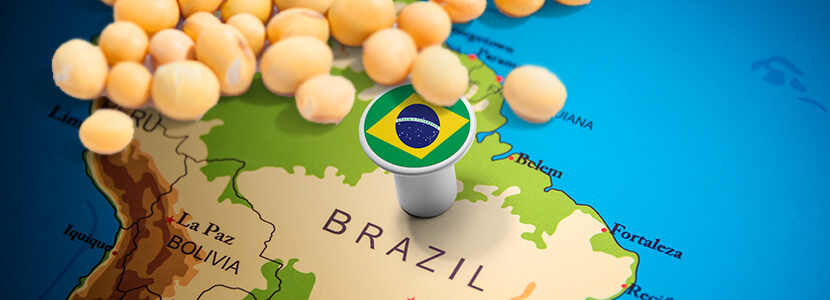 Cae valor externo de la soja, pero dólar impulsa cotización en Brasil