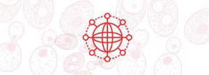 Tecnología TITAN: microencapsulación específica en levaduras vivas