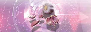 Zooallium: La Combinación Sinérgica Funcional Natural