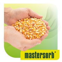 Mastersorb<sup>®</sup> & Masterisk