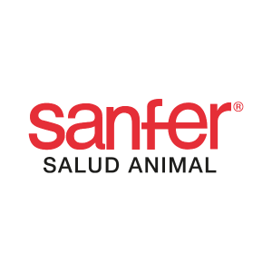 sanfer-banner-footer