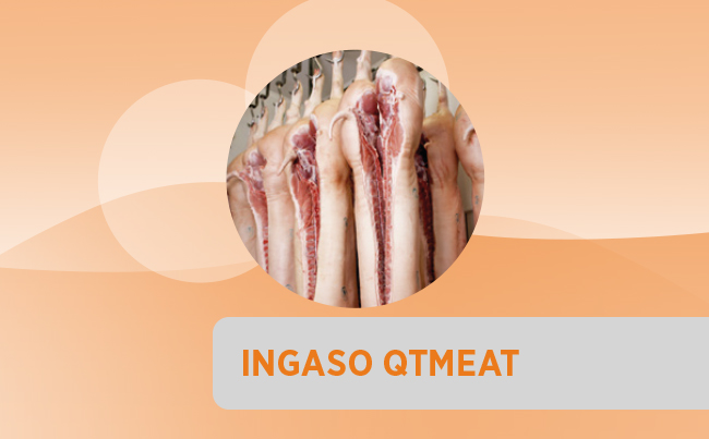 Ingaso QT-Meat