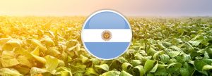 Argentina: Progreso para la siembra de soja