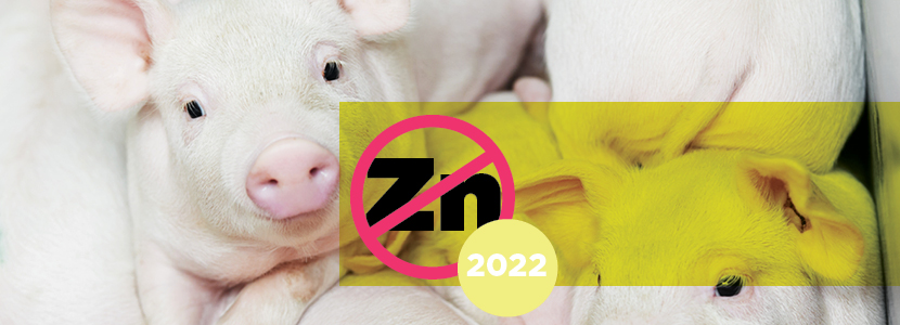 Prohibición del óxido de zinc en 2022: hora de considerar alternativas